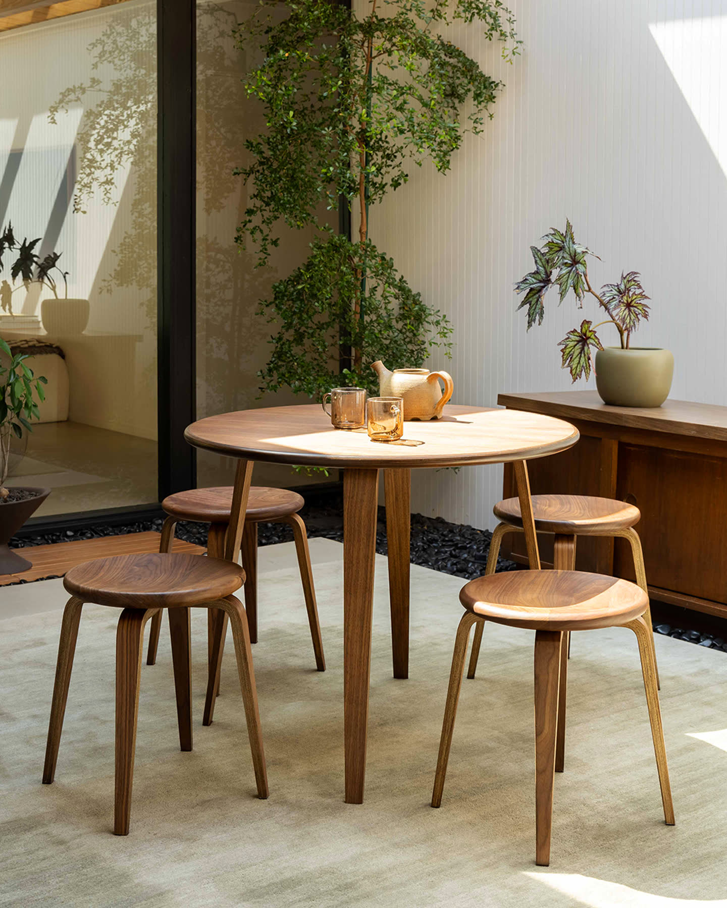 The Bistro Collection arranged in a bright, sunlit room.
