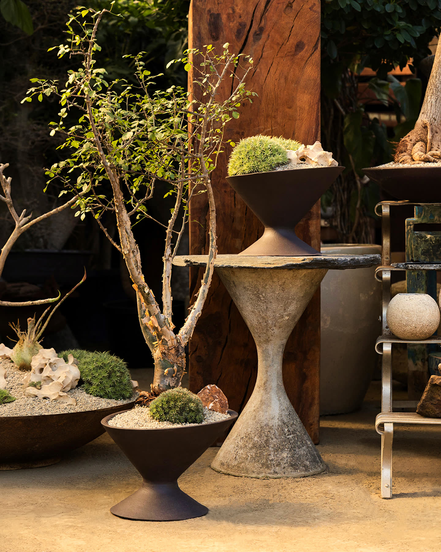 Oblique planters arranged among sculptural plants and natural materials.