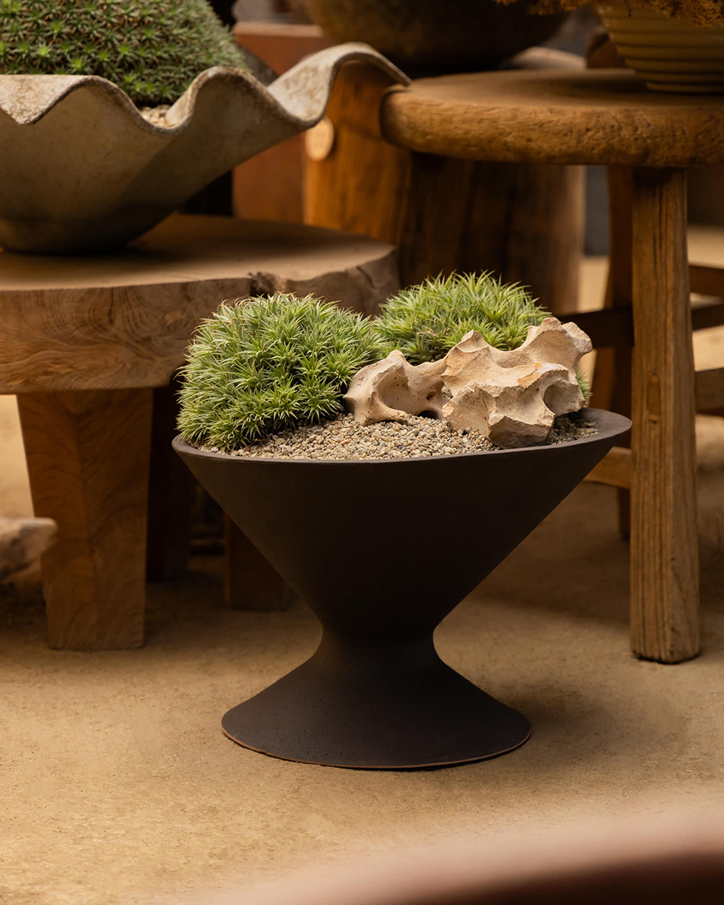 Oblique planter filled with moss and stone beside a sculptural wood table.