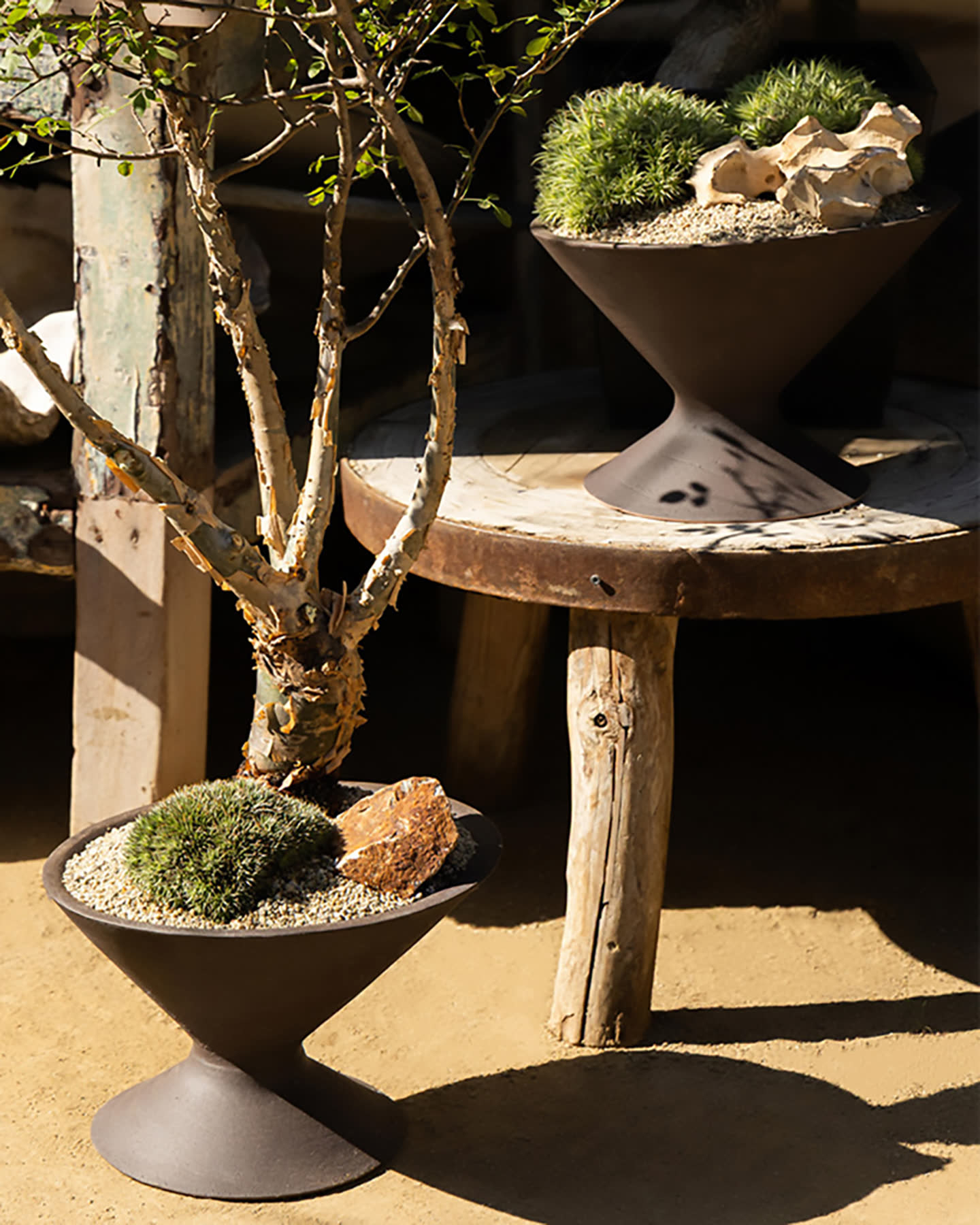 Oblique planter arranged outdoors beside a sculptural tree and table.