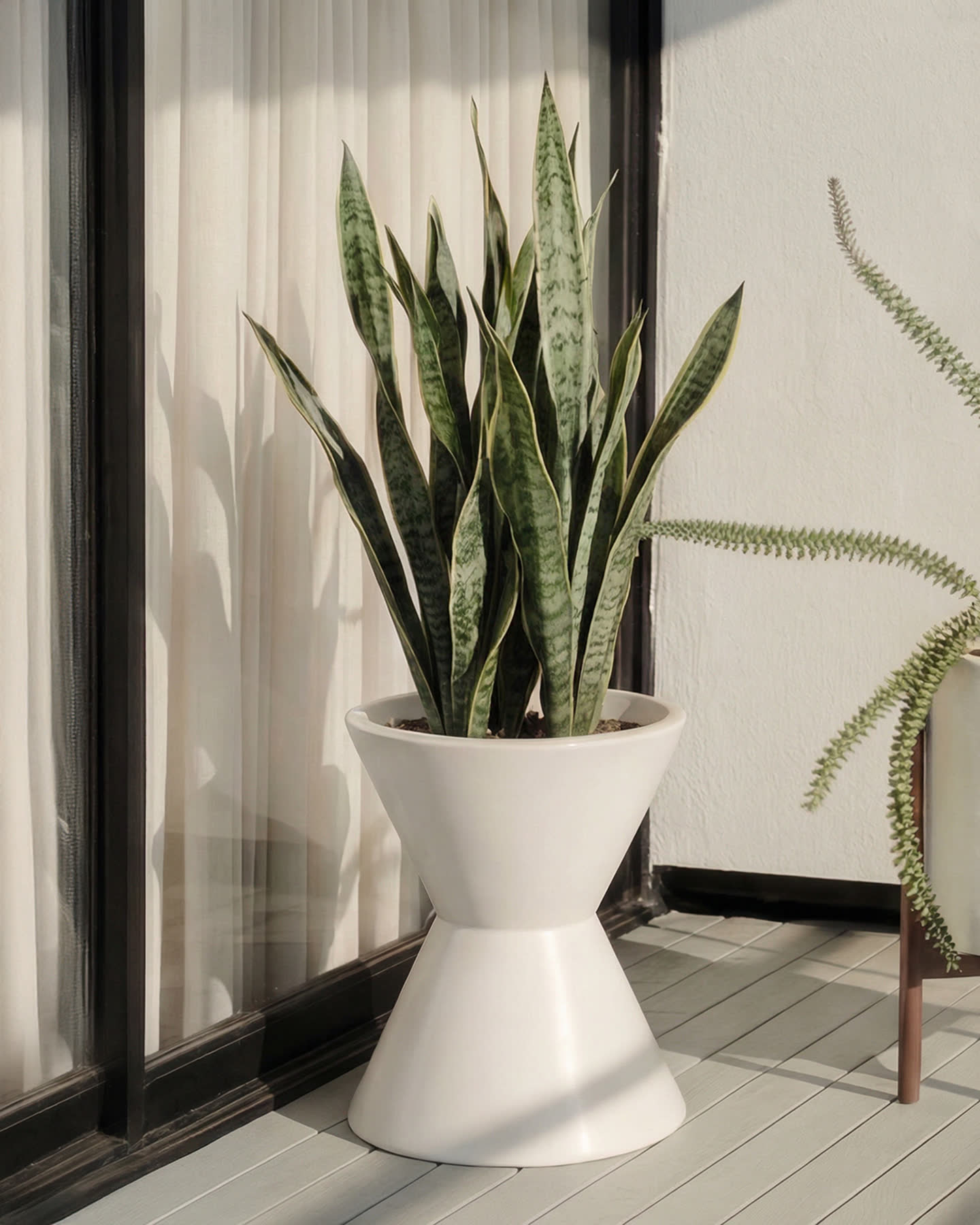 Close view of the sculptural white stoneware planter beside the Smith House windows.
